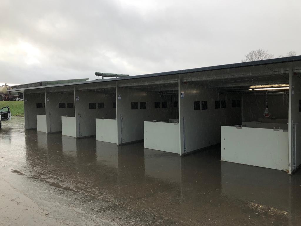 Optima Klima Stal duo boxen afdeling (3 x 2 kalveren)
