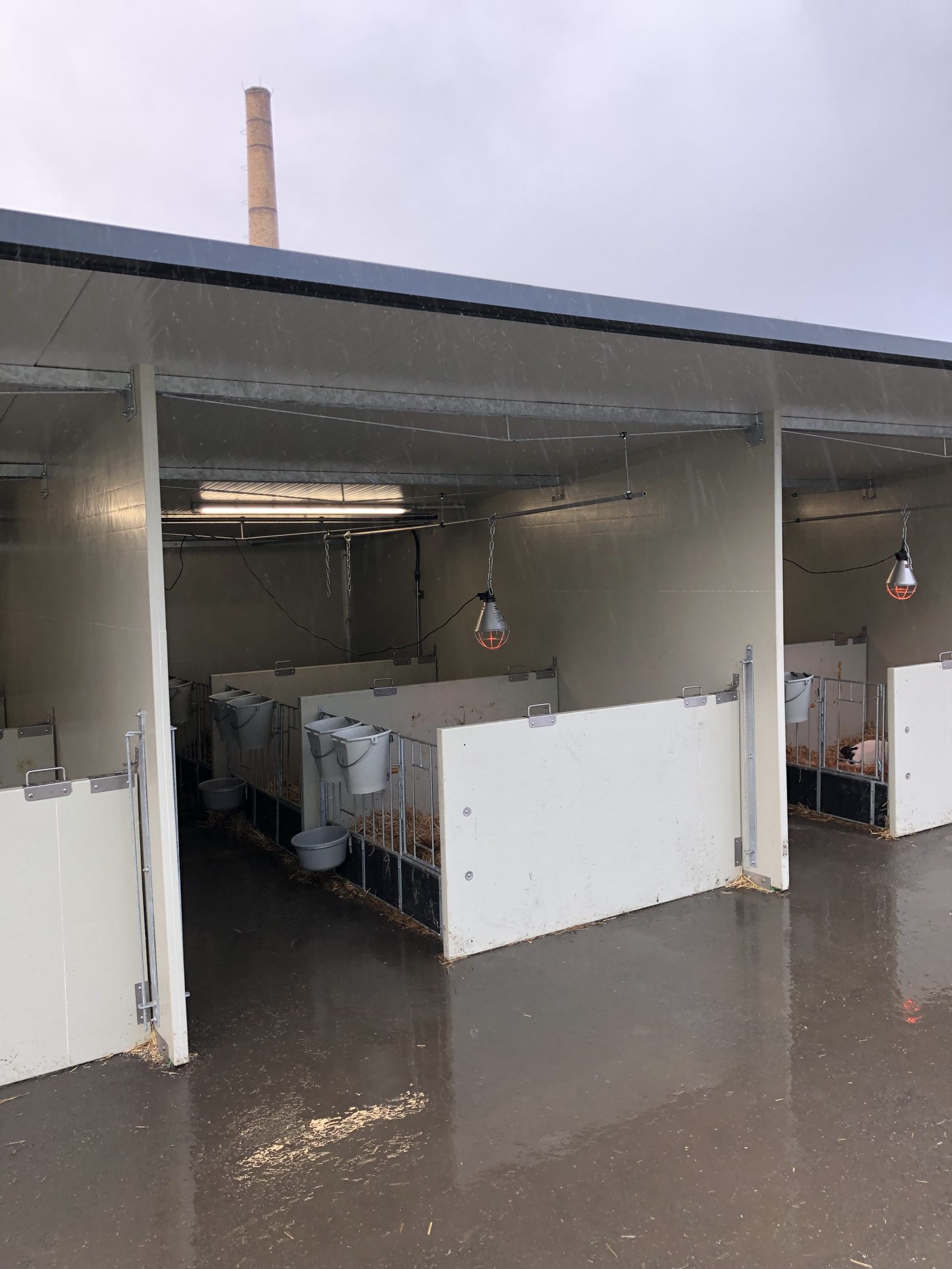 Optima Klima Stal duo boxen afdeling (3 x 2 kalveren) - Afbeelding 7