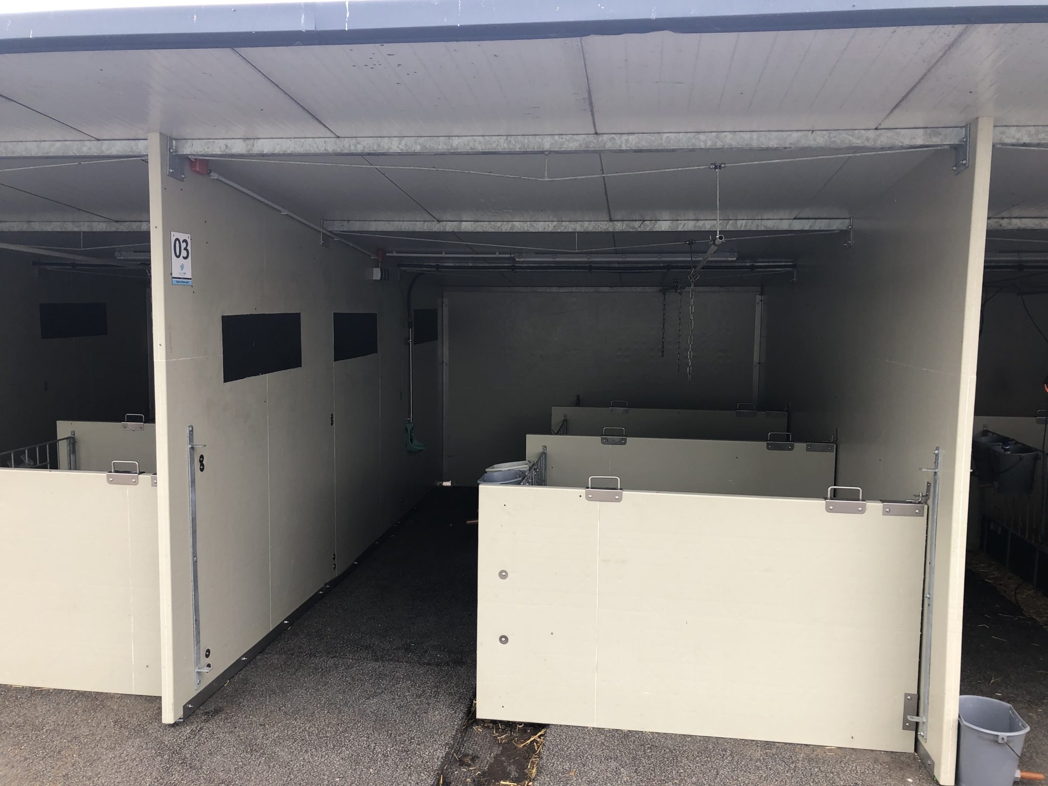 Optima Klima Stal duo boxen afdeling (3 x 2 kalveren) - Afbeelding 3