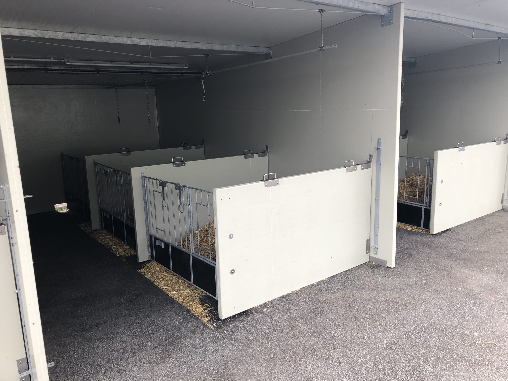 Optima Klima Stal duo boxen afdeling (3 x 2 kalveren) - Afbeelding 5