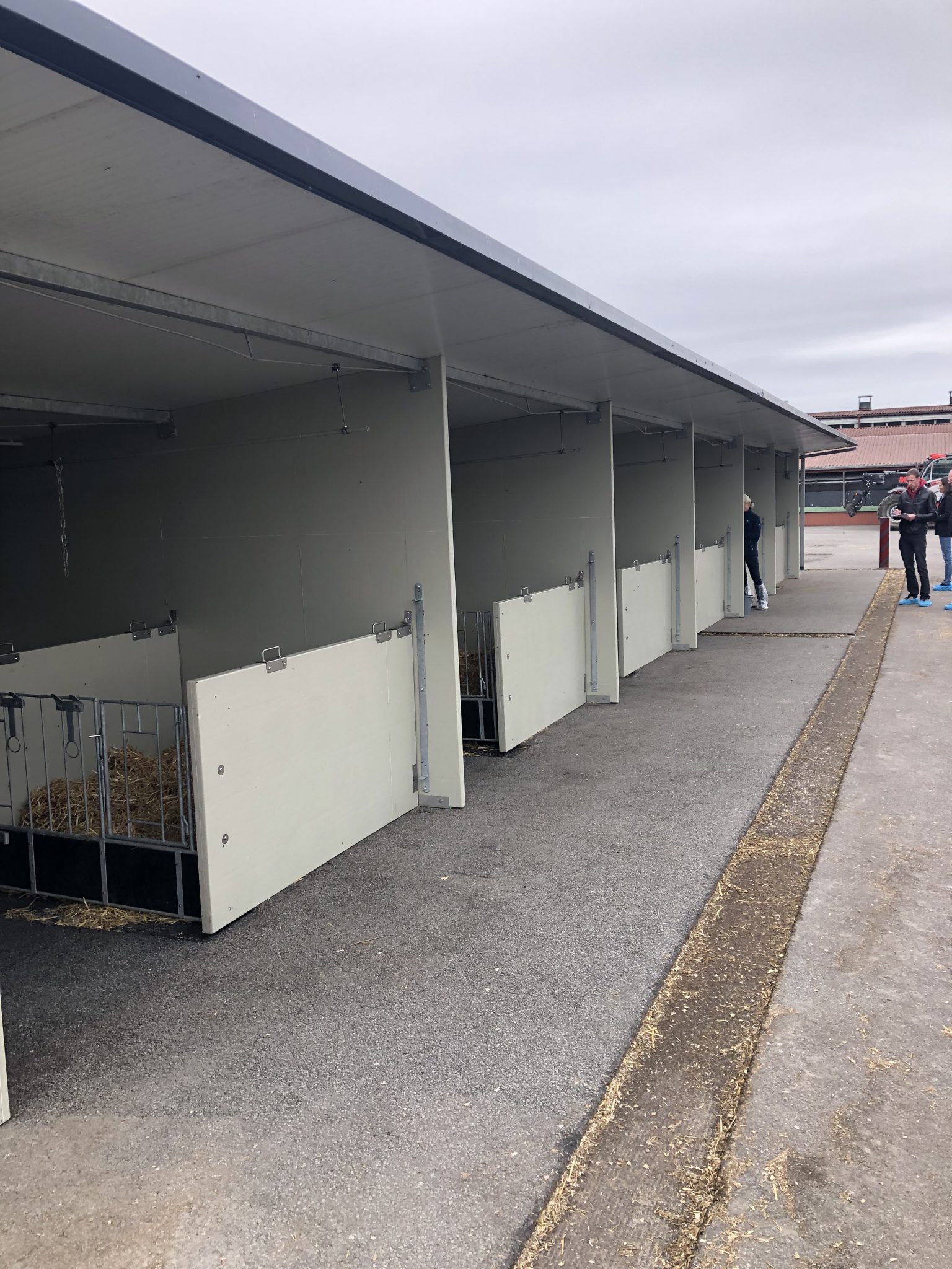 Optima Klima Stal duo boxen afdeling (3 x 2 kalveren) - Afbeelding 6