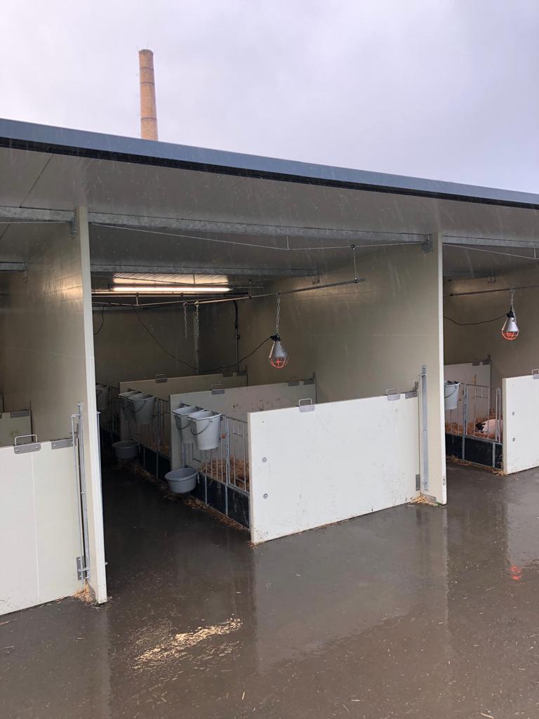 Optima Klima Stal duo boxen afdeling (3 x 2 kalveren) - Afbeelding 2