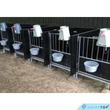 DairyTop Calf boxes on legs