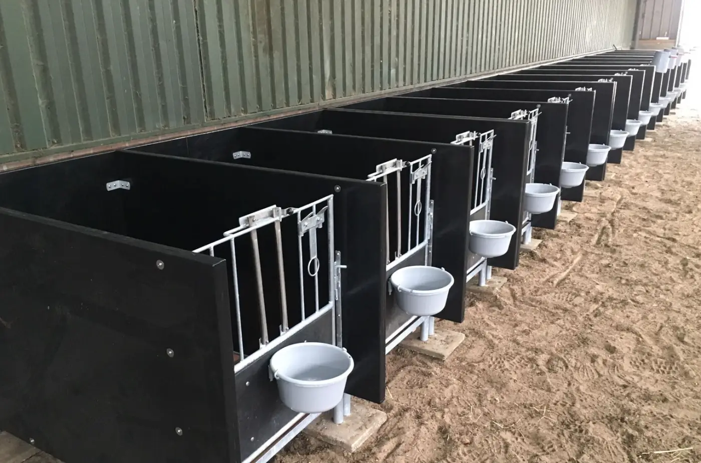 Een rij zwarte kalvereenlingboxen met emmerhouders op stro in een stal