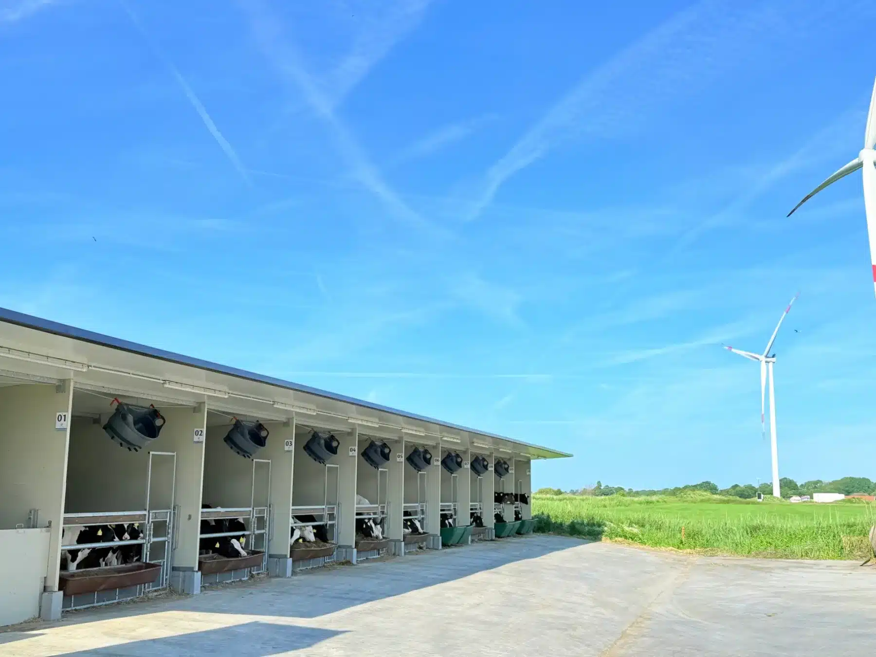 Een rij Optima Klima Kalverstallen onder een blauwe lucht, met windmolens op de achtergrond