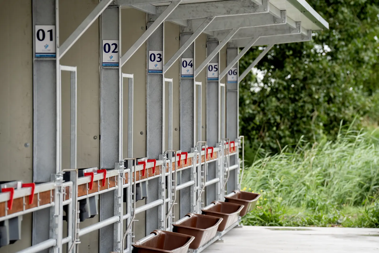 Nieuw gebouwde kalverstal met genummerde afdelingen